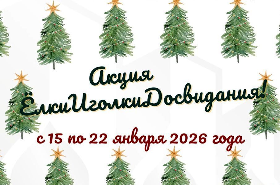 «ЁлкиИголкиДосвидания» — как правильно утилизировать новогодние деревья в Дзержинске и Фаниполе