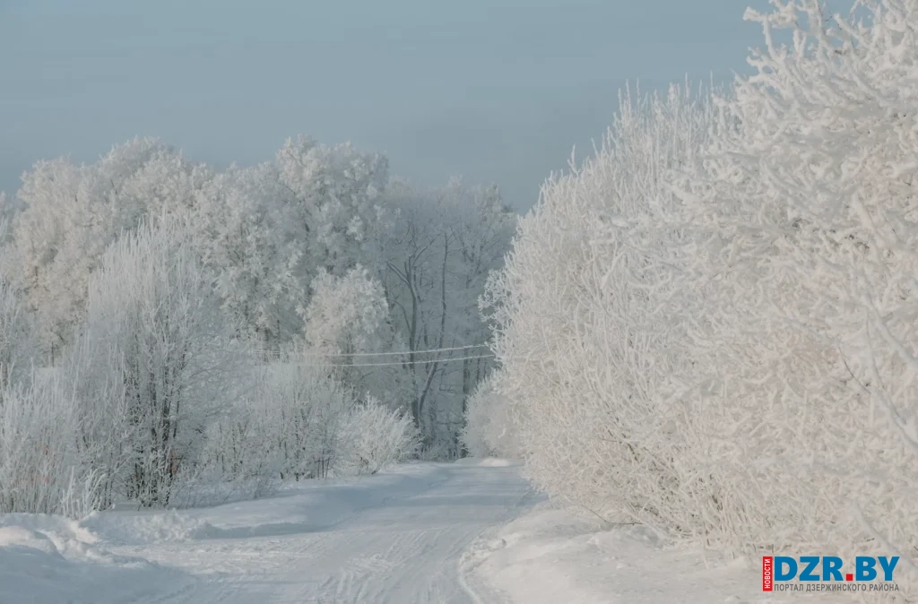 «Леони» уходит, «Даниэль» наступает: на смену оттепели в Беларусь снова идут сильные морозы