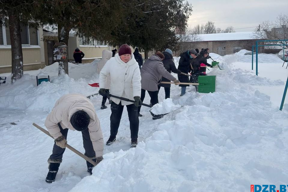 Депутаты, представители политических партий и общественных организаций вышли на субботник в Дзержинском районе