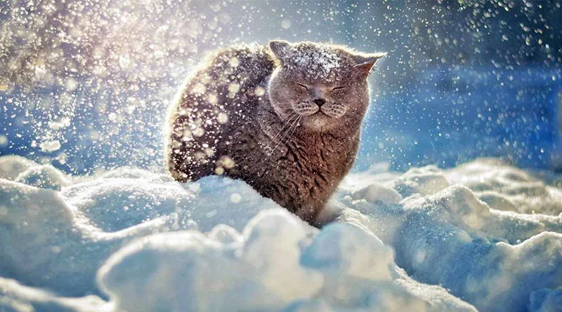 Снег, гололедицу и до -10°С прогнозируют синоптики в Минской области 23 января