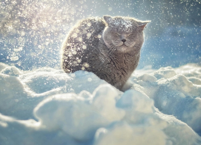 О погоде в Минской области 7 февраля рассказали в Белгидромете