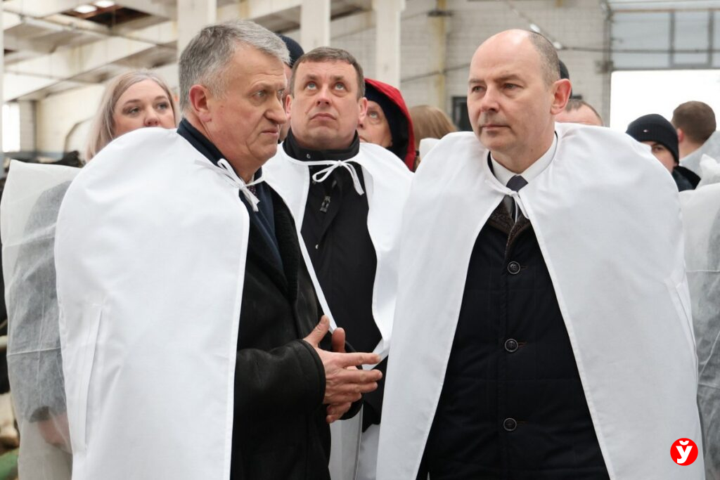 Дисциплина под камерами и новые стандарты: аграриям Минщины обозначили требования к работе ферм