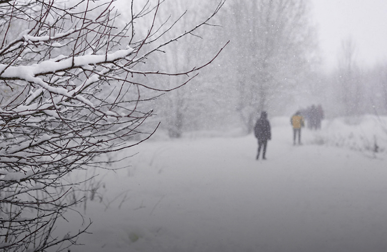 Снег, слабый туман и до +2°С ожидаются в Минской области 13 февраля