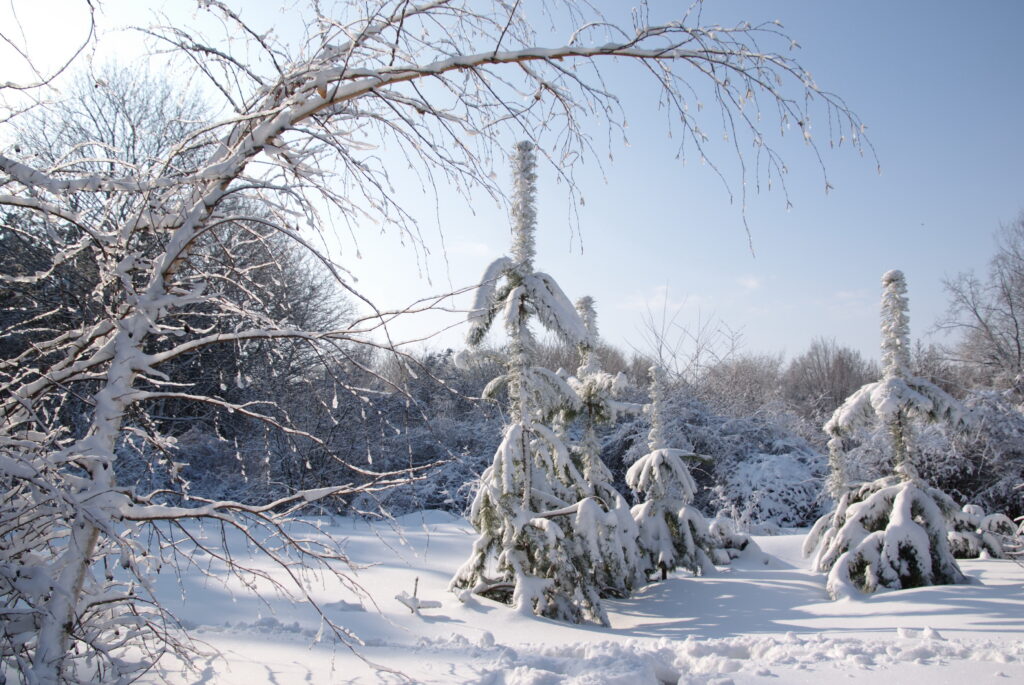 До -13°С и без осадков будет в Минской области 4 февраля