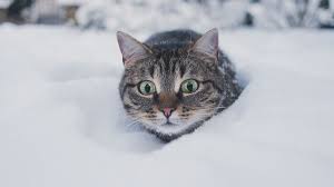 До -9°С днем будет в Минской области 18 февраля