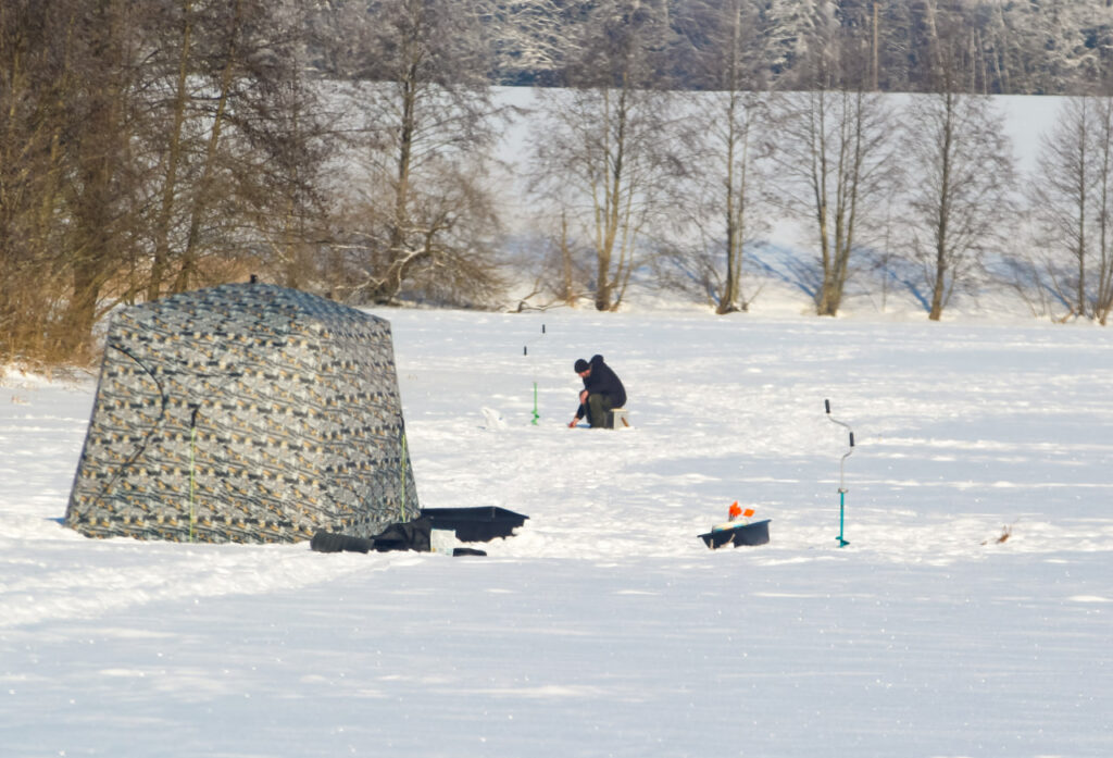 От «Улли» до утки-путешественницы: мгновения дзержинской зимы