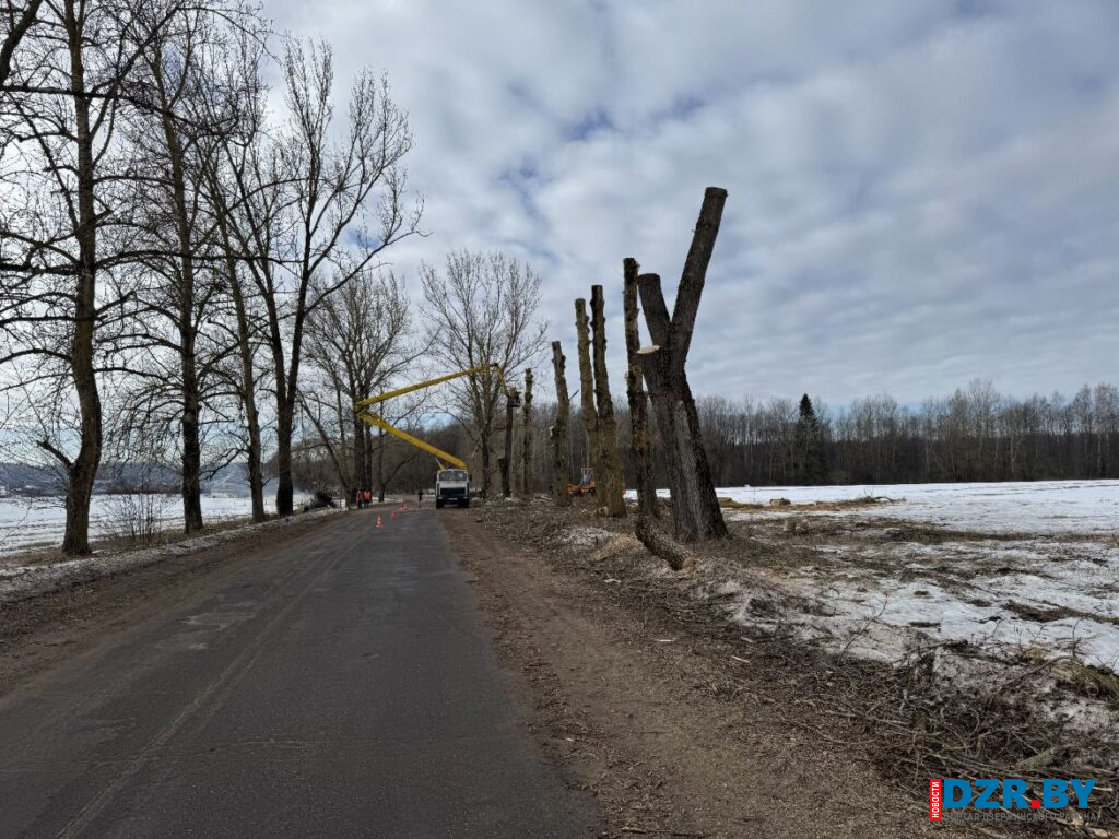 В д. Гарбузы Негорельского сельсовета возобновили работы по обрезке деревьев
