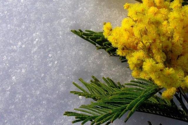 О погоде в Минской области 7 марта рассказали в Белгидромете