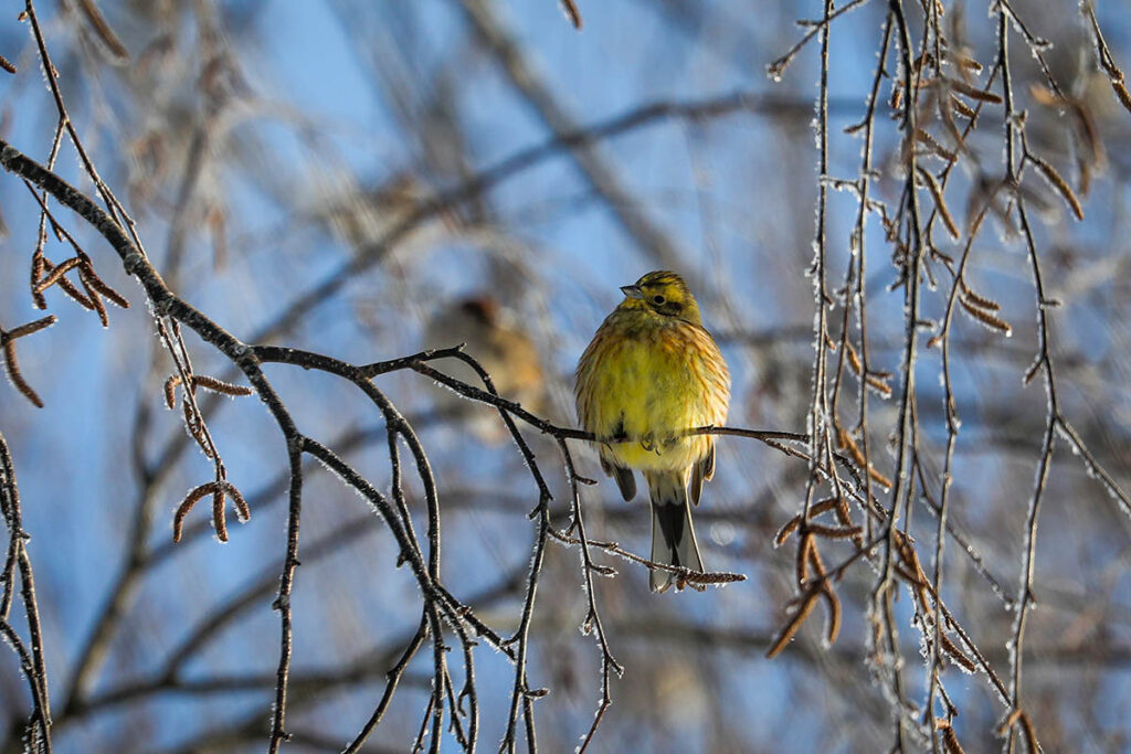 О погоде в Минской области 27 марта рассказали в Белгидромете