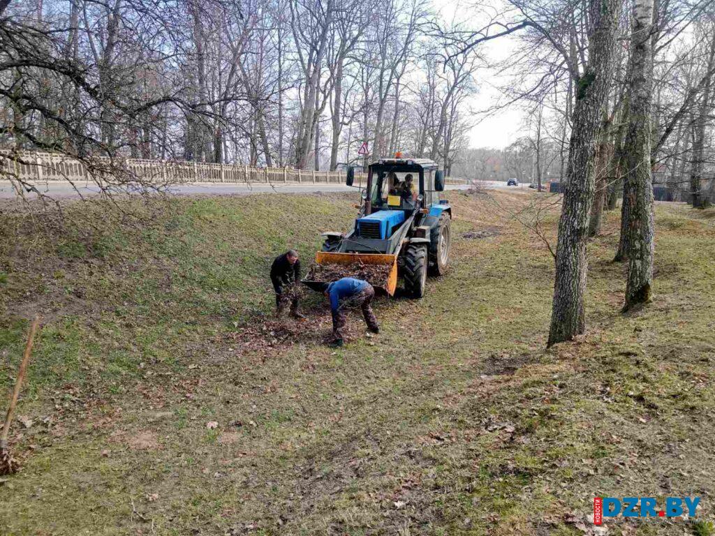 Как в Станьковском сельсовете прошел масштабный субботник