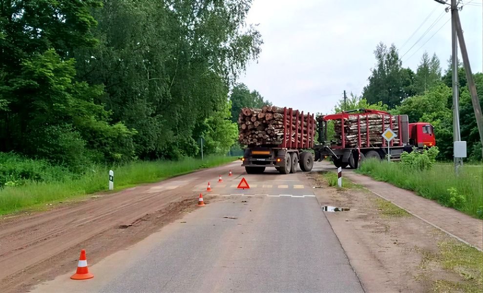 Жалобы на лесовозы, которые разбивают дороги, детально изучат в Минлесхозе