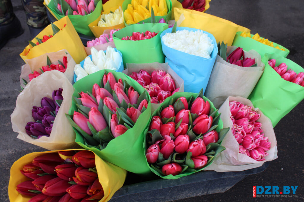 Посмотрели, чем торгуют на праздничной цветочной ярмарке в Дзержинске