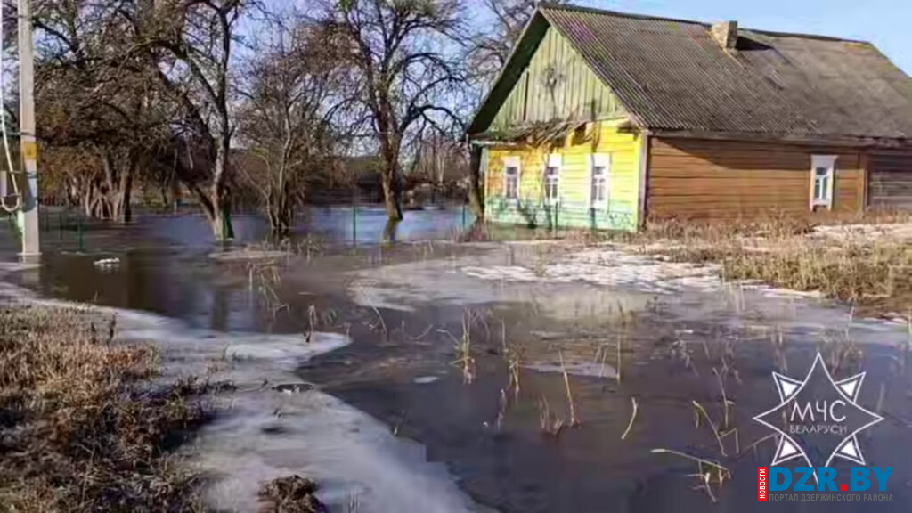 Подтоплены 16 домов и 39 подворий – МЧС обнародовало масштабы весеннего паводка в Беларуси