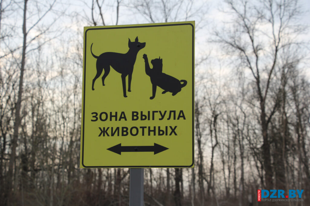 9 адресов для четвероногих. В Дзержинске определены места для выгула собак