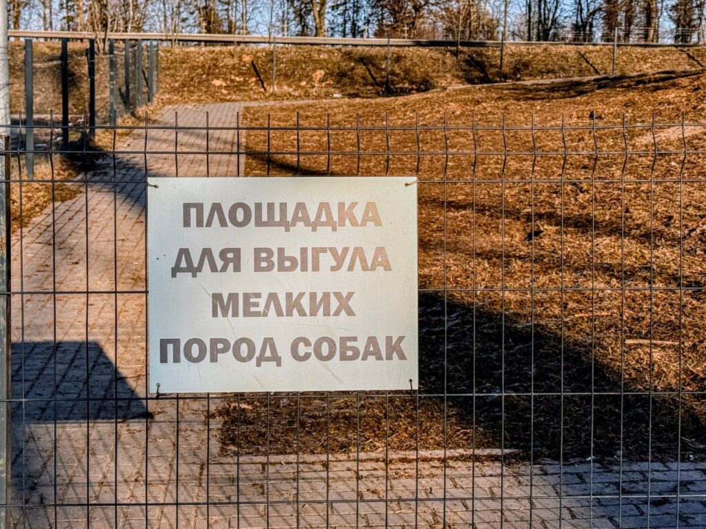 Собачий вопрос: как теперь регистрировать и выгуливать питомцев в Фаниполе и Дзержинске