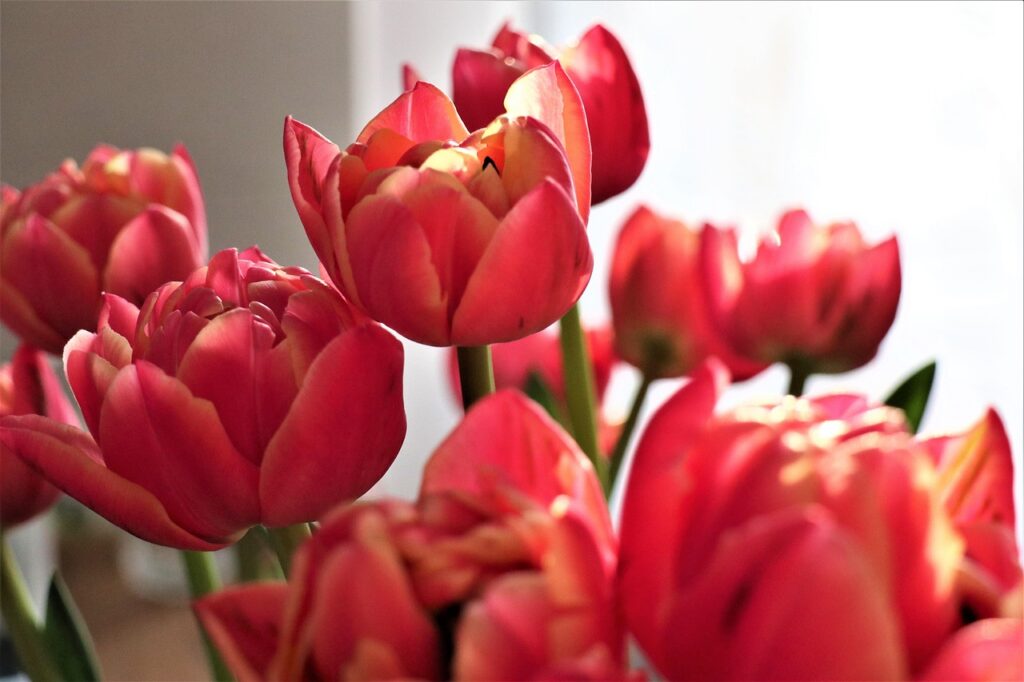 Кіраўніцтва ўпраўлення па адукацыі и спорце віншуе калег-жанчын з 8 Сакавіка