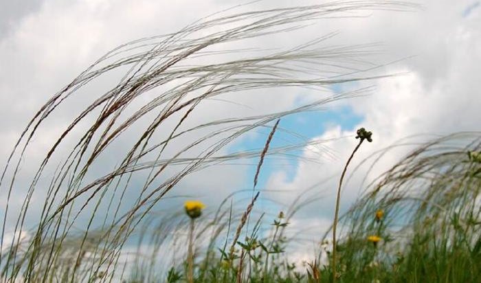 В Беларуси 24 апреля из-за заморозков объявлено штормовое предупреждение