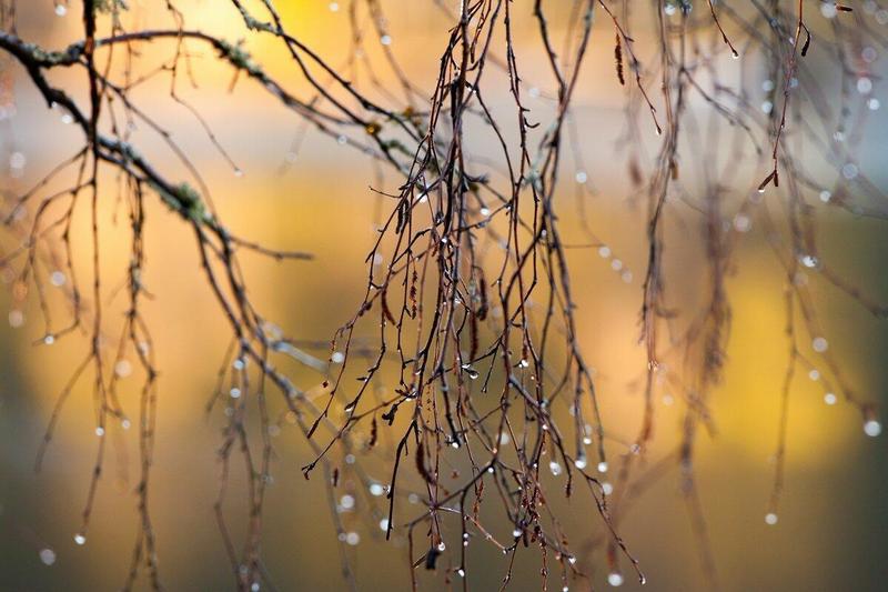 О погоде в Минской области 8 апреля рассказали в Белгидромете