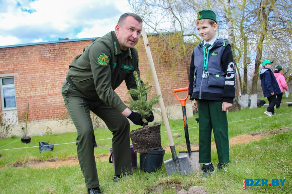 Класс под открытым небом: в Путчинской школе заложили мини-дендропарк