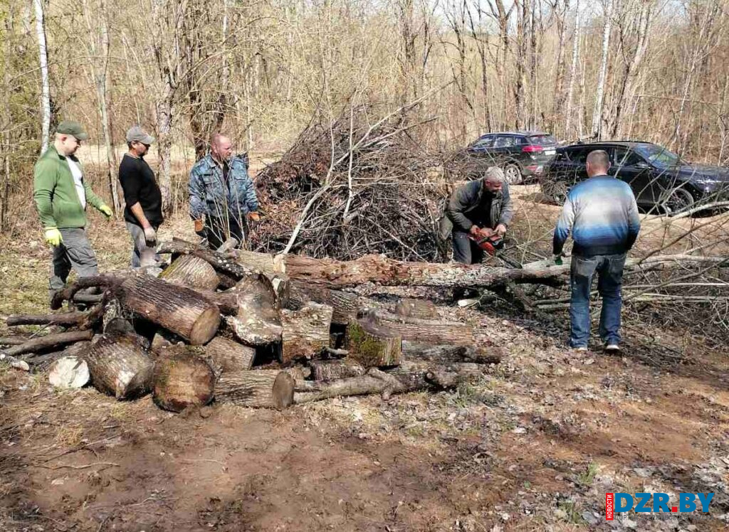 В Путчинском сельсовете на субботнике благоустраивали кладбища и наводили порядок в парках и у водоемов
