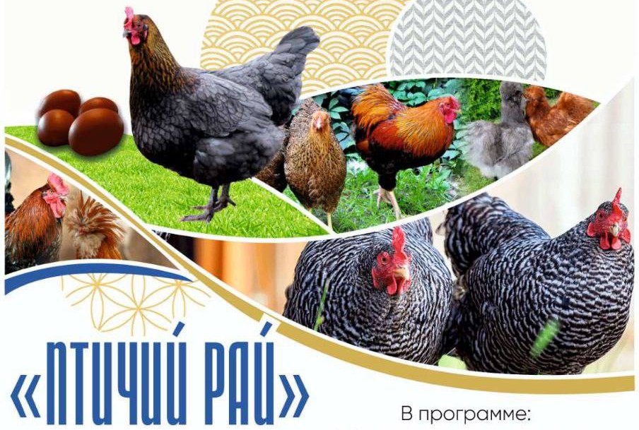 Пернатое разнообразие в Дзержинске: в музее пройдет масштабная выставка птиц