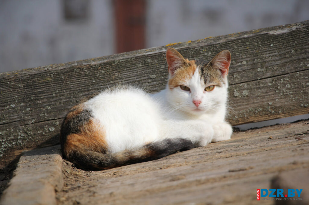 Весна в городе… и душе! Фотофакт