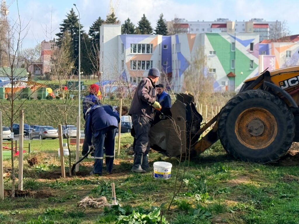 В Фаниполе на субботнике высадили 61 дерево в новом сквере на улице Комсомольской