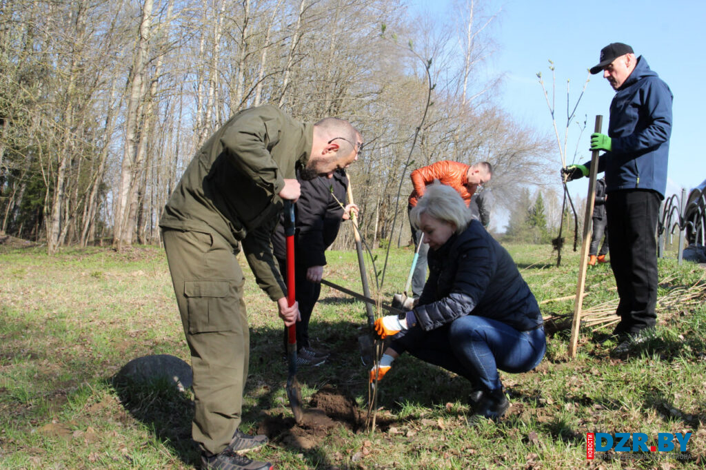 Экологический десант. Депутат Ирина Костевич поучаствовала в посадке сосен и сирени возле Юцковского родника