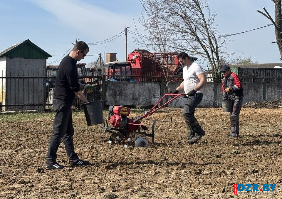 Общее дело для родного края: как Дзержинщина встретила республиканский субботник
