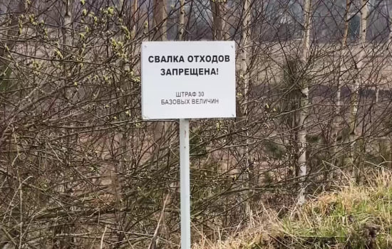 От предупреждения до 200 базовых: что грозит тем, кто выбрасывает мусор в лесу и на полях