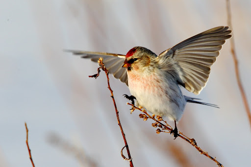 Какая погода будет в Минской области 2 апреля, рассказали в Белгидромете