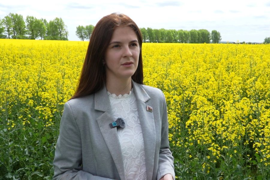Как фотосессия в рапсовом поле может навредить урожаю и вашему кошельку