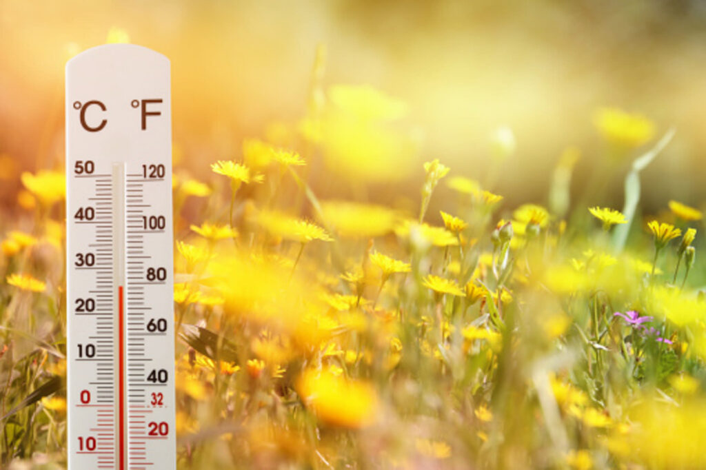 До +25°С ожидается в Минской области 25 июня