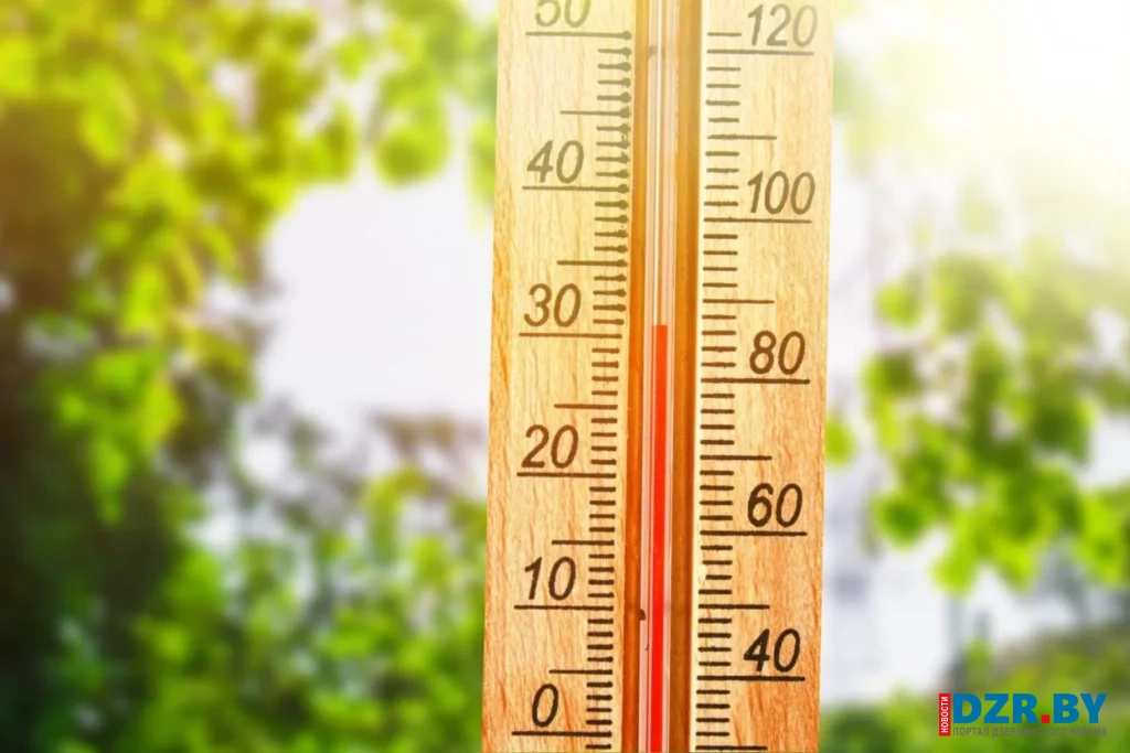 До +29°С будет в Минской области 27 июня
