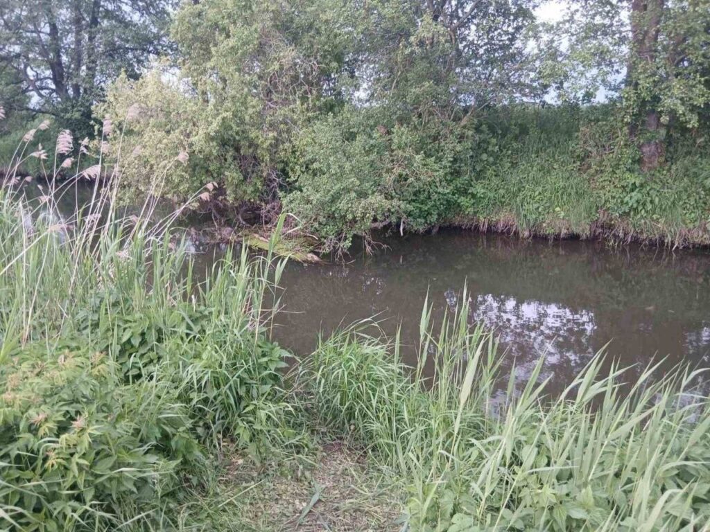 В реке Уса под Дзержинском обнаружили тело без вести пропавшего мужчины