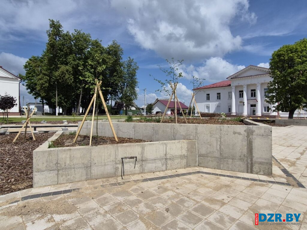 Высадят больше сотни деревьев! Центральная площадь Дзержинска продолжает преображаться