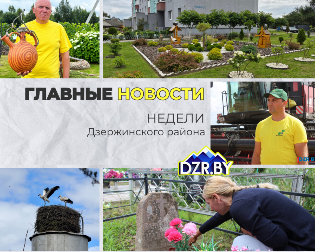 Топ-новости Дзержинского района за прошедшую неделю
