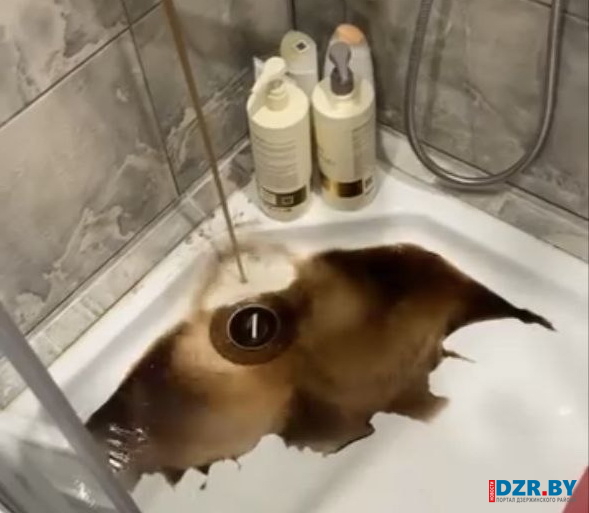 Почему в Дзержинске местами ухудшилось качество воды и когда оно придет в норму, разъяснили в водоканале